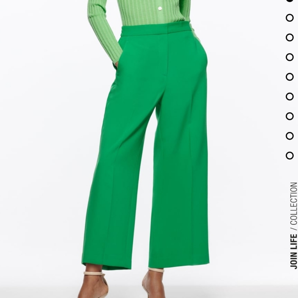 Zara pant